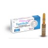 Testobolic (Undecanoato de testosterona) 250mg/ml - Cooper Pharma
