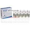 Undecilenato de Boldenona 10 Ampolas 250mg/ml - Alpha Pharma