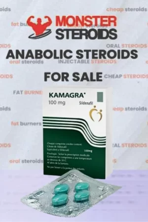 Kamagra 100: Uma Opção Eficaz para o Tratamento da Disfunção Erétil